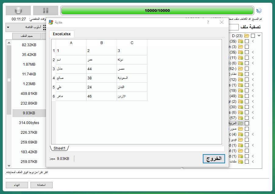 preview excel-D disk