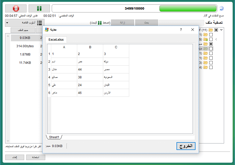 undeleter-preview excel-F