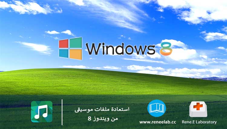 recover-music-win8