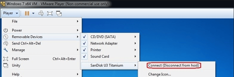 vmware connect usb disk