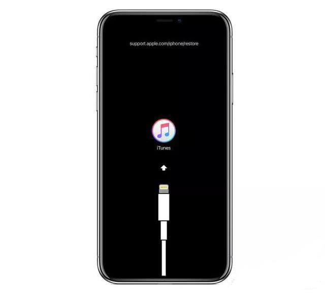شاشة iPhoneX تعرض كابل البيانات وشعار iTunes